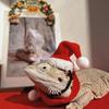 2pcs/set Lizard Christmas Hat And Scarf For Lizard Snake Dragon Small Animal Costume,