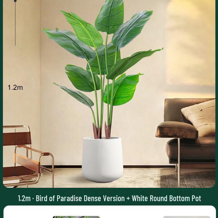 High-End Indoor Bird of Paradise Decor: Luxury Potted Traveler's Palm