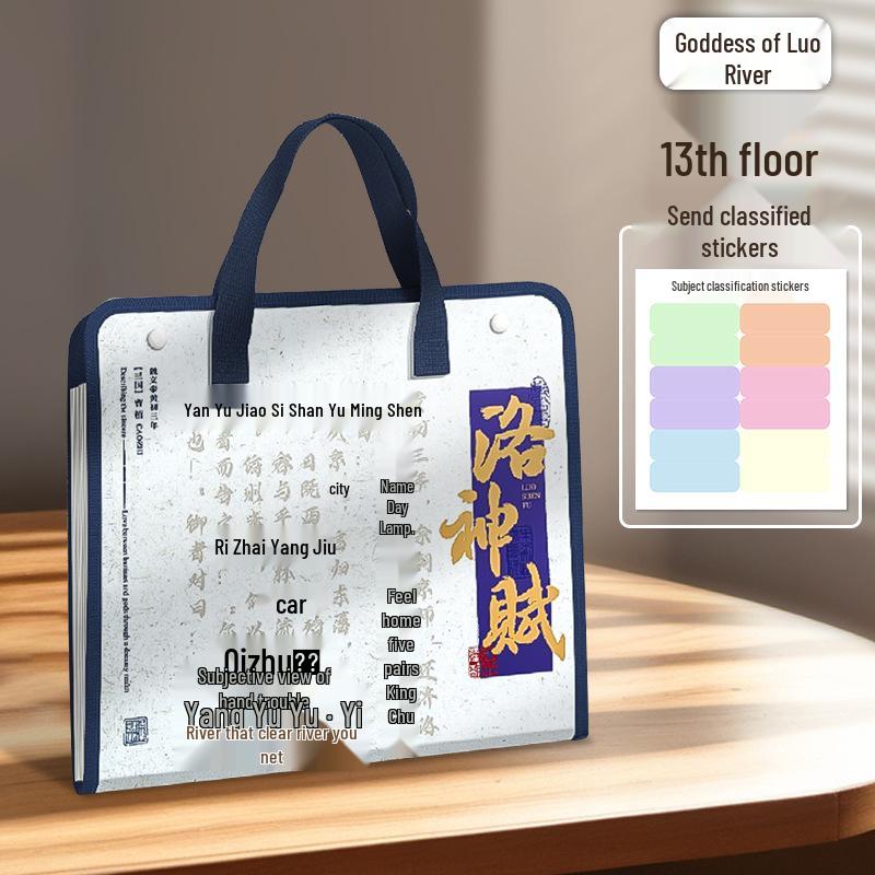 Accordion Bag for Students: Junior & High School Test Paper Organizer, Large Capacity