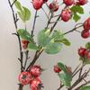 Large Simulation Hawthorn Branch with Single Stem and Fruit for Vase Decoration and Floral Art Props