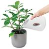 emo Flower Jug Vase 500 Pink JEMO-0100-PK