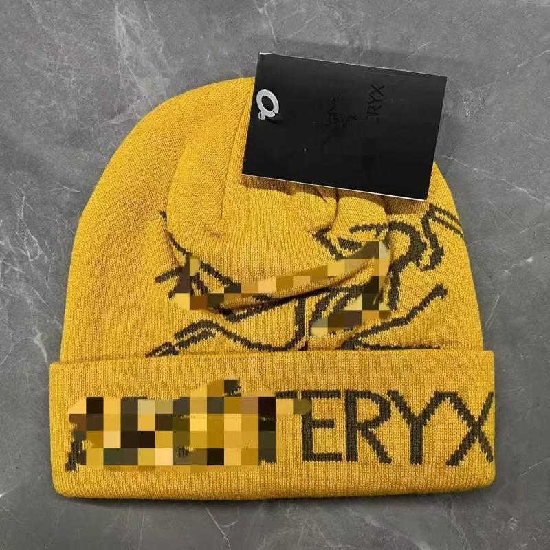 Autumn and winter new bird hat versatile cold hat knitted hat embroidery warm bird hat wool hat