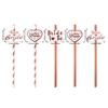 10/20pcs Team Bride Rose Gold Paper Straws Bachelorette Party Wedding Decoration Drinking Straw To Be Hen Party Birdal Shower