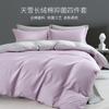 Vico Home Textiles 60 Thread Count Tian Xue Long Staple Cotton Class A Antibacterial Four-Piece Set