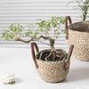 Woven Planter Basket with Handle Decorative Ornament Shopping Basket Plant Pot