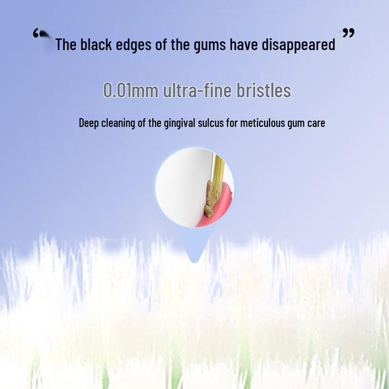 Adult Soft Bristle Toothbrush 5-Pack