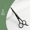 5-inch Black Professional Thinning Shears for Hair and Pet Grooming