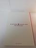 Super Sonico 10th Anniversary Book