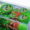 5 Piezas Anillos para Acuario Anillos Alimentadores para Peces Corral para Plantas Flotantes Soporte Flotante de Eva para Plantas Acuáticas Anillos para Plantas Círculo Alimentador para Peces