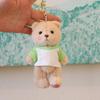 Classic Teddy Bear Plush Toy With Keychain And Soft Pp Cotton Filling For Collectors And Kids