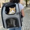 Foldable Expandable Pet Backpack with Adjustable Height and Customizable Logo – Breathable Double-Shoulder Design for Outdoor Use