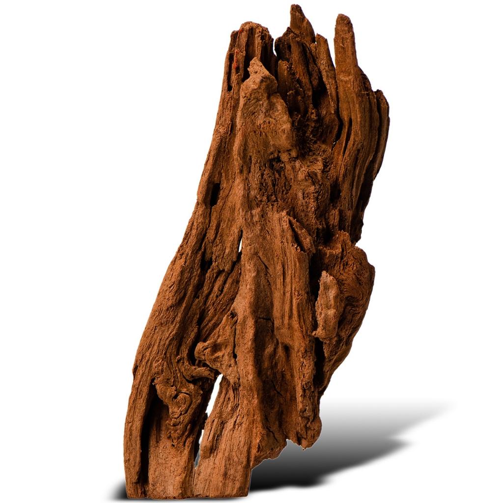 Driftwood Root Natural Xxs 10Cm Freshwater Plant Aquarium