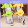 Versatile And Durable Dog Water Dispenser With Stainless Steel And Plastic Construction
