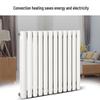 Tongshengda TS6030 Wall-Mounted Steel Hydronic Radiator