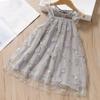 Summer Girls Tulle Princess Dress Cute Baby Party Gown Elegant Childrens Mesh Sundress For Toddler Kids Special Occasion Wear