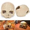 High Simulation Aquarium Decorative Skull Design Resin Skeleton Fish Tank Landscape  Fish Tank