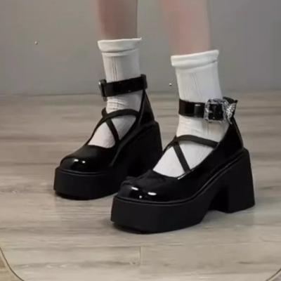 Women's Shoes New Fashion Round Toe Women's High Heels Autumn Mary Jane Button Solid Color Dress Thick Sole Thick Heel