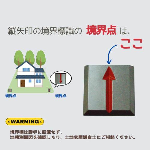 Boundary Marker, Vertical Arrow Plate for Indicating Property Boundaries, 1 Piece