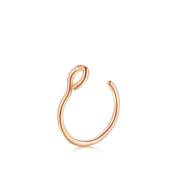 European And American Stainless Steel U -Shaped Nasal Nasal Eyebrow Nail Earrings Puncture Jewelry