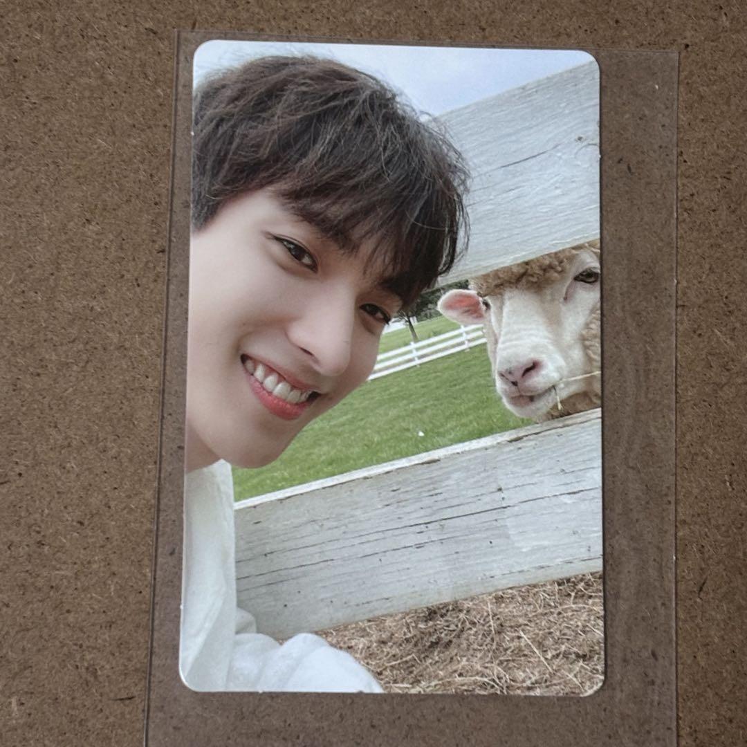

[ИСПОЛЬЗОВАН] Коллекционная карточка Dogyeom Sheep