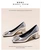 French Temperament Silver High Heels Women Soft Leather 2024 Spring and Autumn New Thick Heel Square Head Crystal Single Shoes