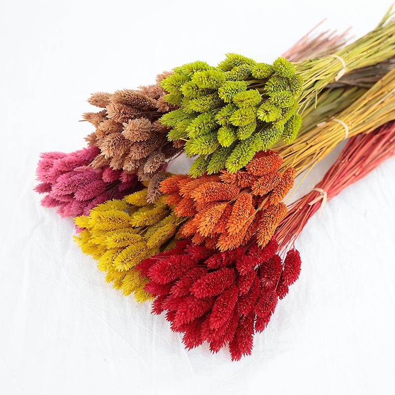 Natural Dried Statice Flower Bouquet - Everlasting Decoration for Vase & DIY Arrangements