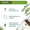Naturalis Essence Of Nature Thyme Essential Oil 100% Undiluted Pure And Natural Therapeutic Grade For Skin Conditions, Clear Breathing - 10Ml