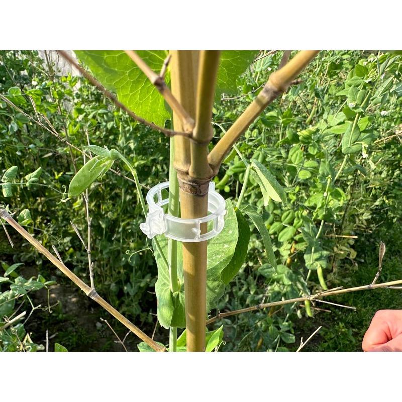 100/200/300Pcs Plant Support Clips Reusable Plant Binding Clip Tomato Trellis Clips for Vine Vegetables Grow Upright Healthier