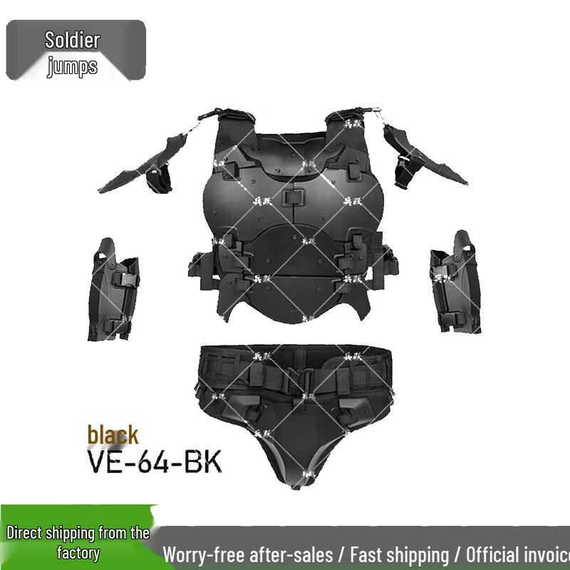 Bingyue ZS Armor Protection Set