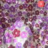 1 Yards Flower Sequin Embroidery Beaded Fabric Elastic Mesh Plum Cloth DIY Sewing Dress Stage Costume Patchwork Material