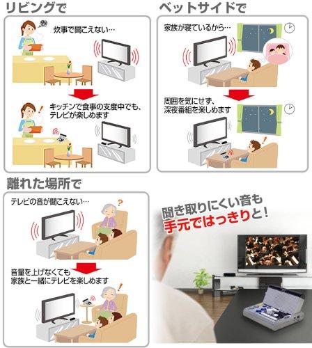 YAMAZEN Curiom Handheld Speaker with Remote Control and AM/FM Radio, YTR-200