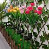 Solar Garden Lights 7 Heads Solar Simulation Flower Lamp Outdoor LED Stake Ground Lamp for Patio