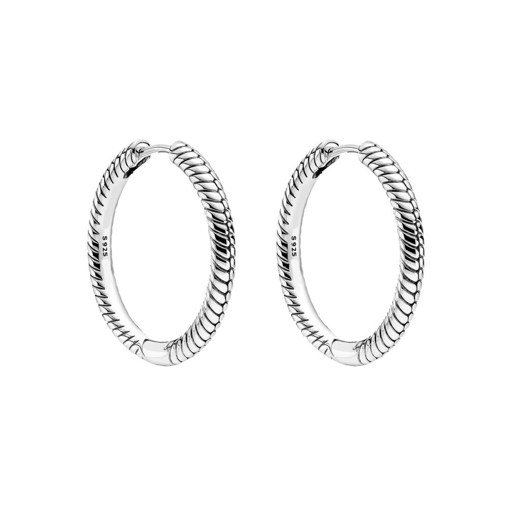 S925 Sterlingo Sidabro Žėrintys Dvigubi Lankeliai Auskarai Moterims Madingi Papuošalai Gimtadienio Motinos Diena Dovanos