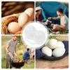 Egg Storage Box 2 Grid Egg Storage Container Outdoor Egg Box Shockproof Egg Organizer For Home Hiking Outdoor Camping Travel