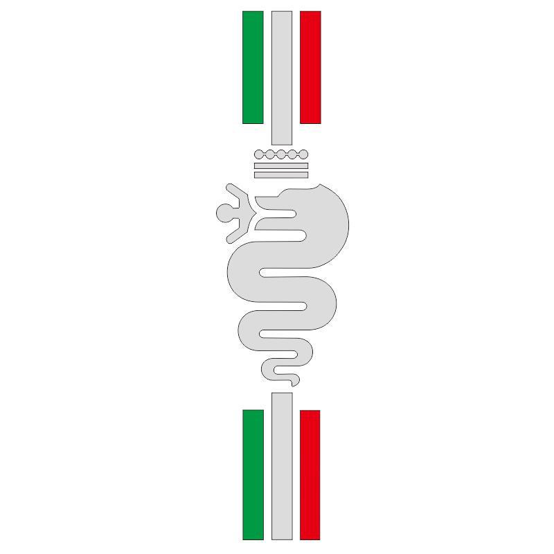 X-315: Decal ideal pentru capotă și autocolante cu dungi pentru Alfa Romeo