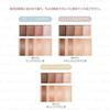 Kose Esprique Mellow Feelinig Eyes Shadow