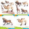 Wildlife Animal Model Set Pvc Camel Giraffe Educational Collectible For Kids Nature Learning