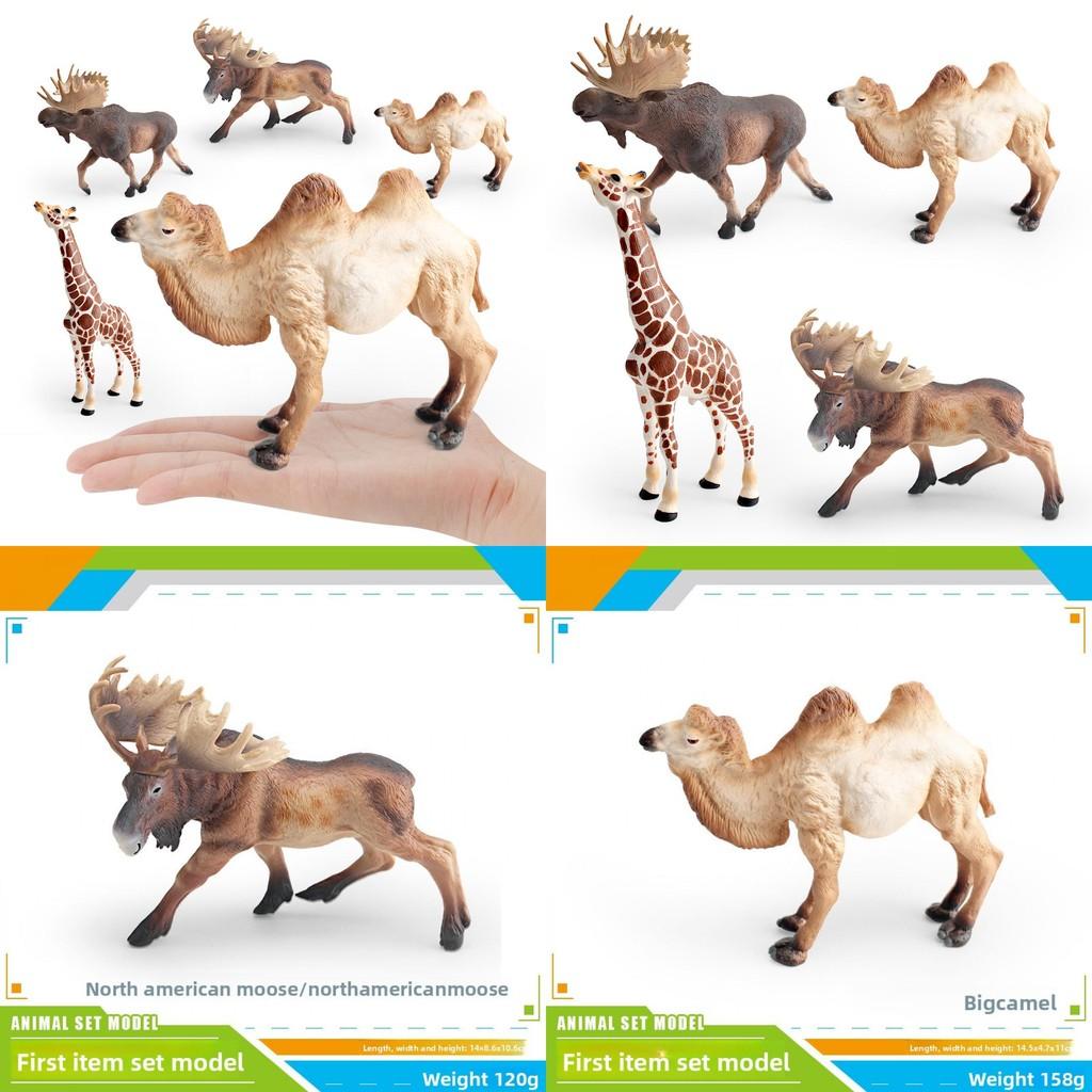 Wildlife Animal Model Set Pvc Camel Giraffe Educational Collectible For Kids Nature Learning