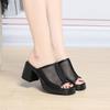 Slippers Women In Summer Thick Heel Waterproof Platform Mesh Breathable Exposed Toe High Heel Soft Sole Ladies Sandals Elegant