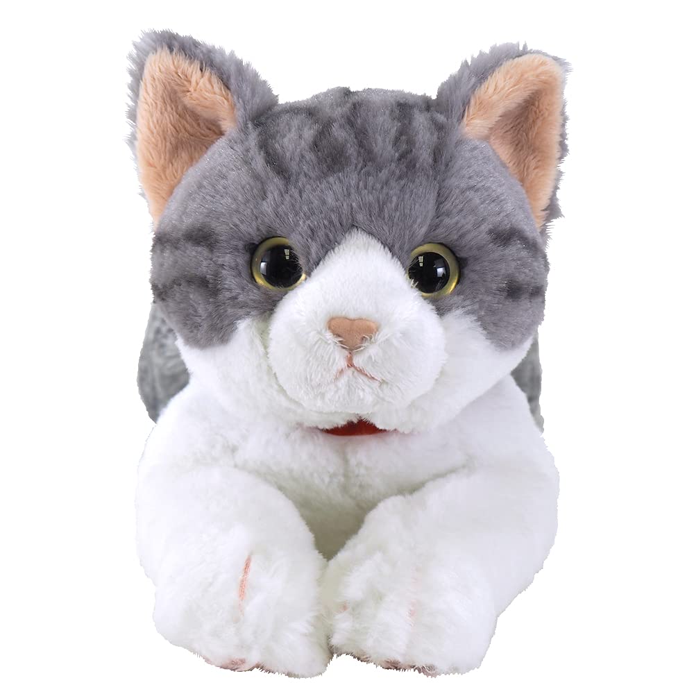 Sun Lemon Knee Cat Sabashiro Medium 18 x 47 x 16cm Stuffed Animal P-7792