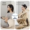 Jiancheng Ergonomic Lumbar Support and Seat Cushion CN plug (adapter included)
