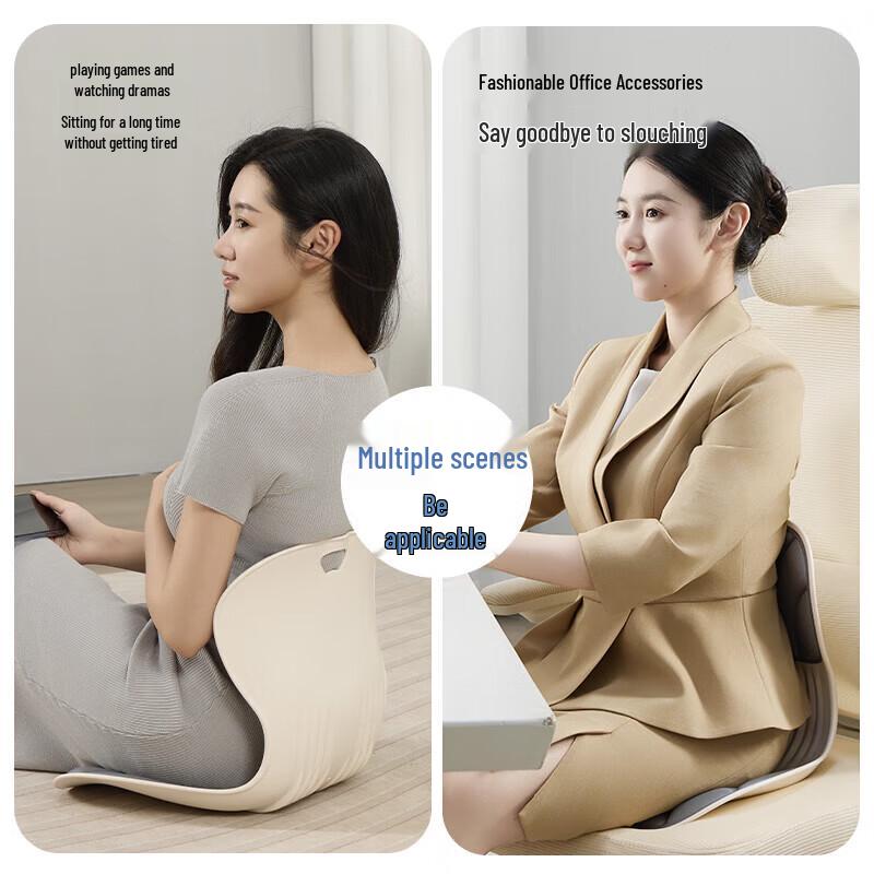 Jiancheng Ergonomic Lumbar Support and Seat Cushion CN plug (adapter included)