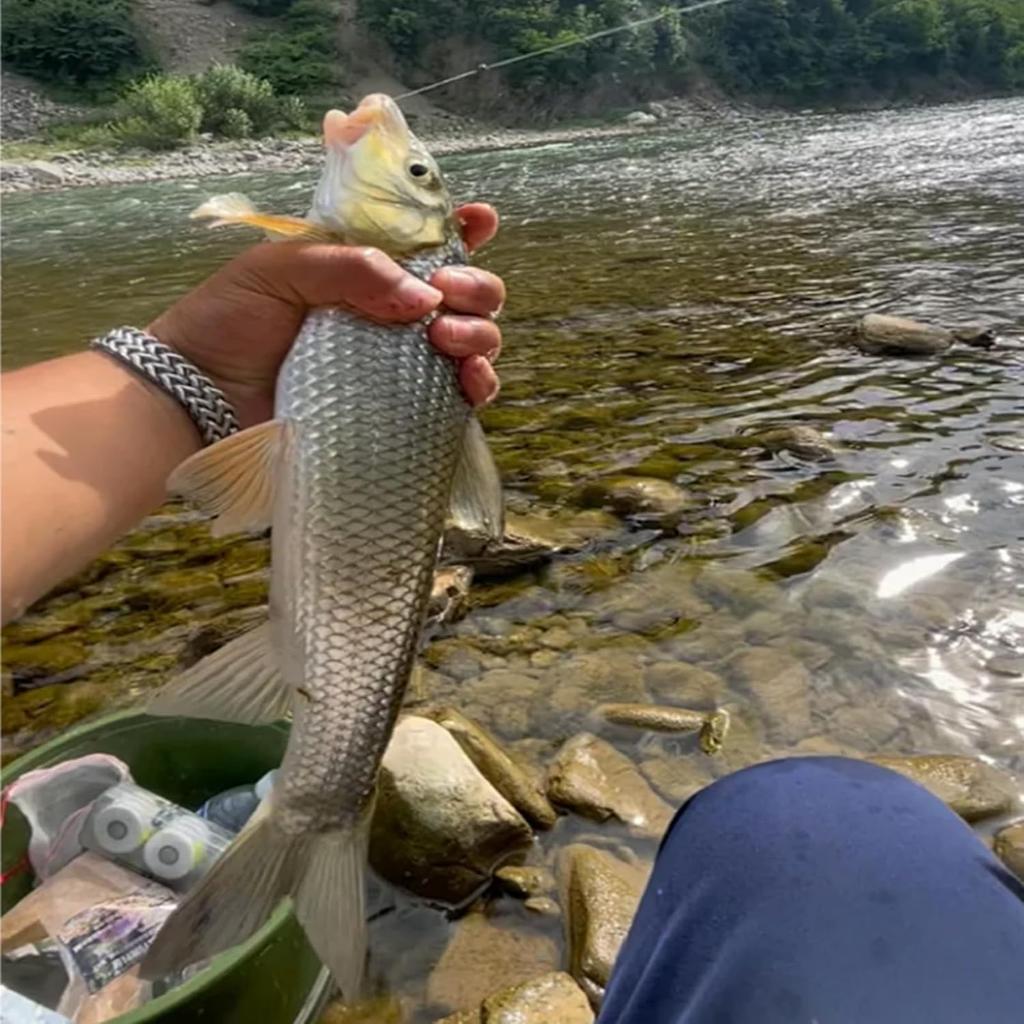 Visulong Catfish Fishing Set, Catfish Fishing Set,  Rig Making Kit, For Catching Big S, Carp & More