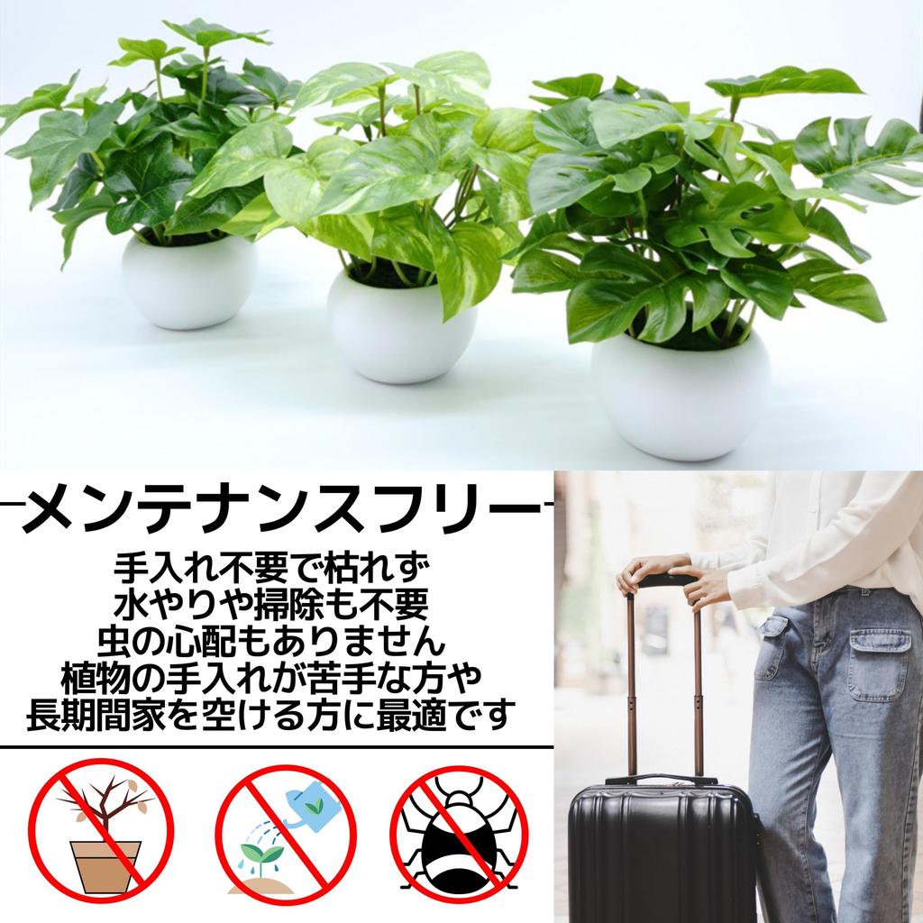 East Leaf Faux Greenery Artificial Mini Houseplants for Tabletop Decor, Monstera, Potos, and Ivy, Set of 3