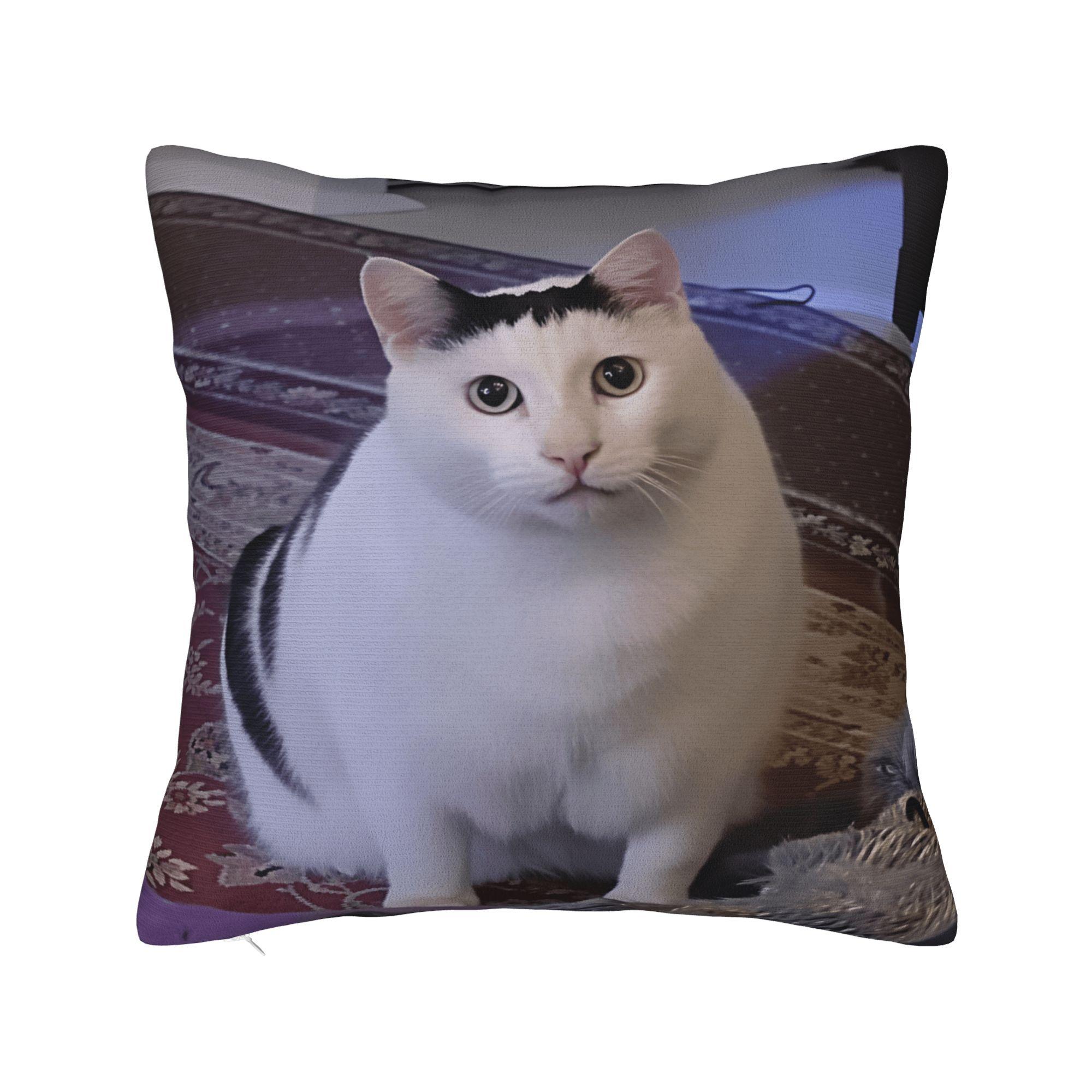 

Pet Cat Funny memes Pillow Cover Kawaii Pillow Case For Couch Sofa Bedroom Square Pillowcases Gift 12x12Inch