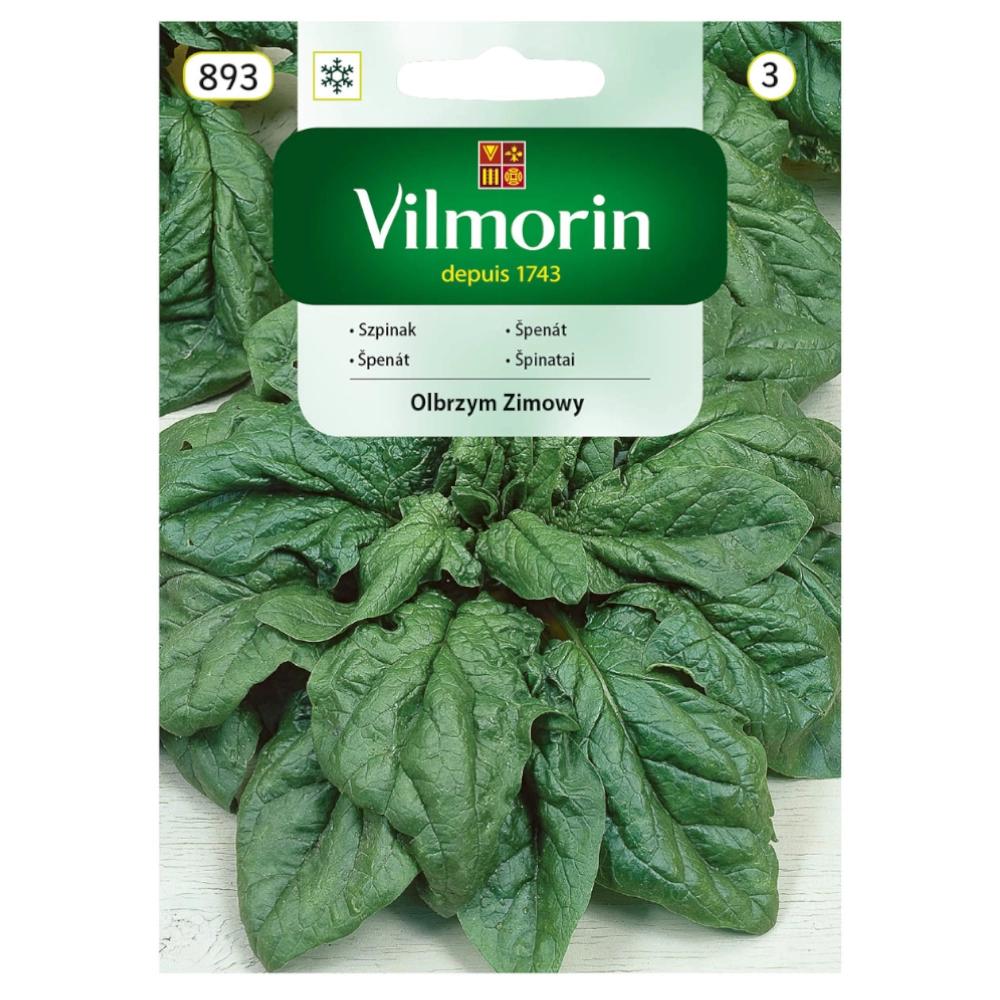 Spanac Winter Giant Seminte Gigante de Invierno 20g - VILMORIN