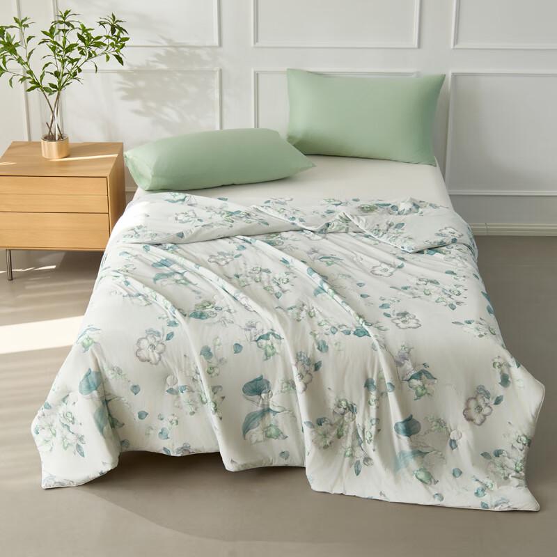 Hengyuanxiang Antibacterial Ice Peppermint Summer Quilt