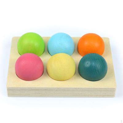 Montessori Toys Color Sorting Game Matching Toy 6 Balls Early Education