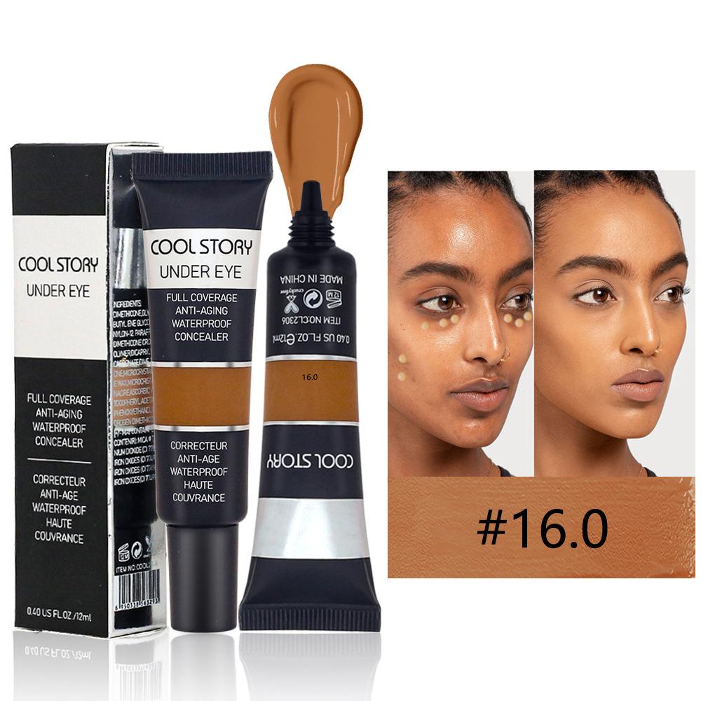 Beauty Facial Concealer Spot Concealer Dark Circle Concealer Dlouhotrvající přírodní korektor Oční a tělový korektor