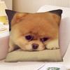 Poszewka na poduszkę dla psa rasy szpic miniaturowy Modna kwadratowa poszewka na poduszkę Sypialnia Sofa Pokój Dekoracja Ins Wypoczynek